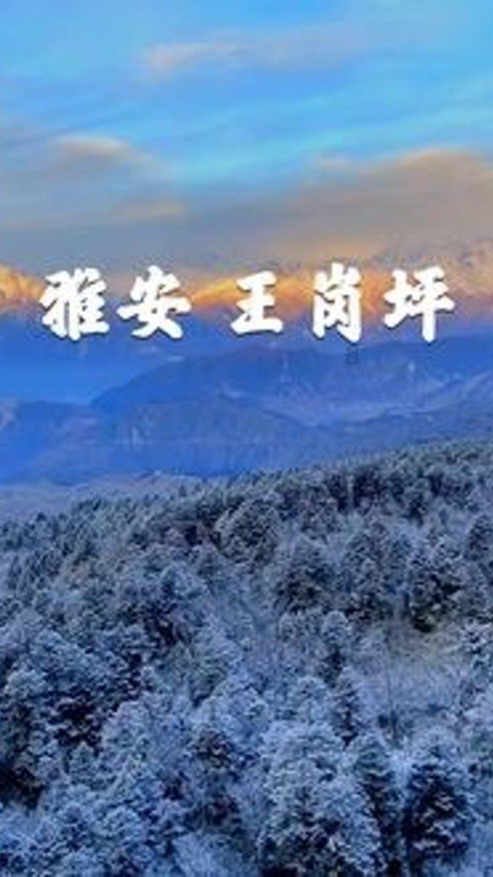 有什么冰箱收纳神器吗？游戏画面